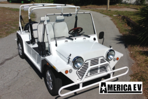 golf cart rental southwest ranches, southwest ranches golf cart rental, street legal golf car